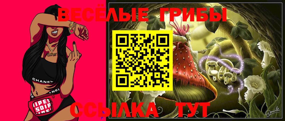 Галлюциногенные грибы MAGIC MUSHROOMS Майкоп