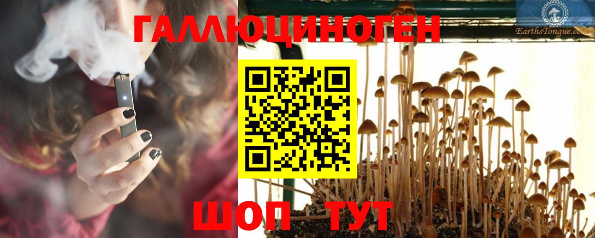 где купить   Галлюциногенные грибы GOLDEN TEACHER  Вход с VPN  Майкоп 