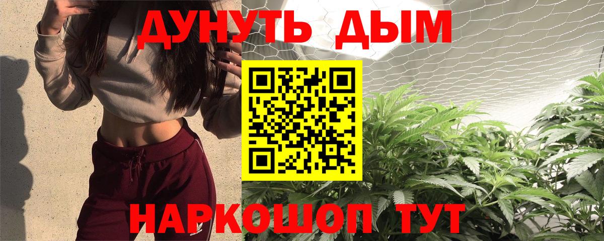 Бошки Шишки сатива Майкоп